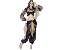 Role play-set for adult Belly Dancer (top, pants, belt, headband with attached veil), size M